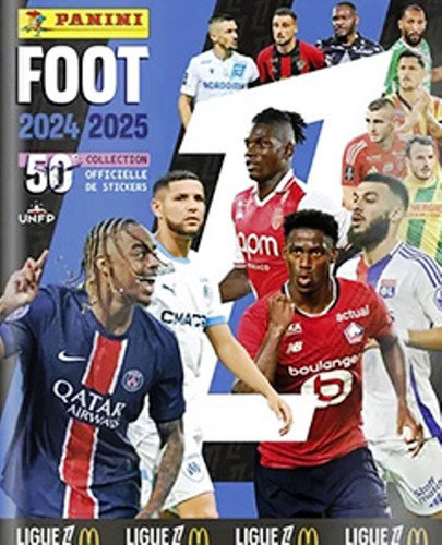 Panini foot france - panini, 2024