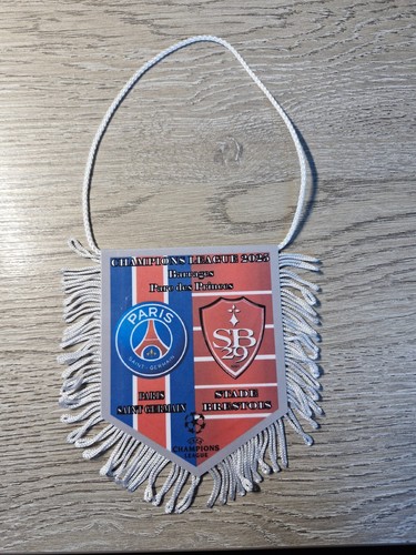Fanion pennant 9x11cm - ,