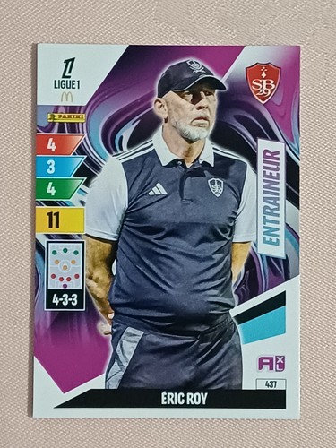 Panini adrenalyn ligue1 - xl,