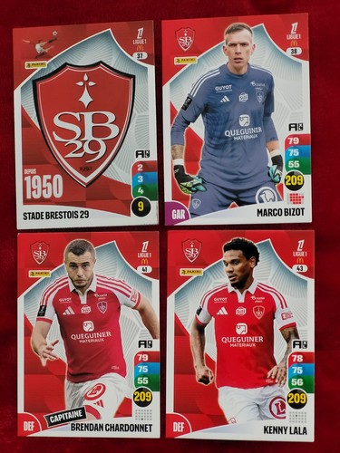Lot cartes panini - 7,