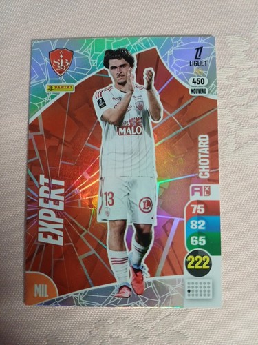 Panini adrenalyn ligue1 - panini,
