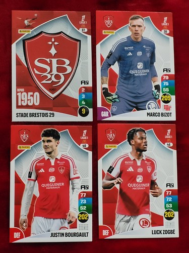 Lot cartes panini - 7,