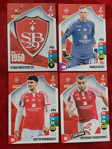 Lot cartes panini - de,