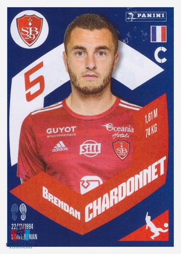 Panini foot 2024 brendan - foot, #28